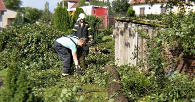 V západních Čechách udeří během víkendu silný vítr, platí výstraha